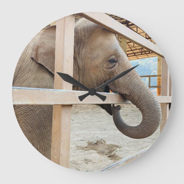 Elephant Sanctuary Große Wanduhr (Vorderseite)