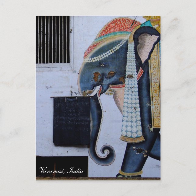 Elephant, schöne Varanasi, Urlaub Indien Postkarte (Vorderseite)