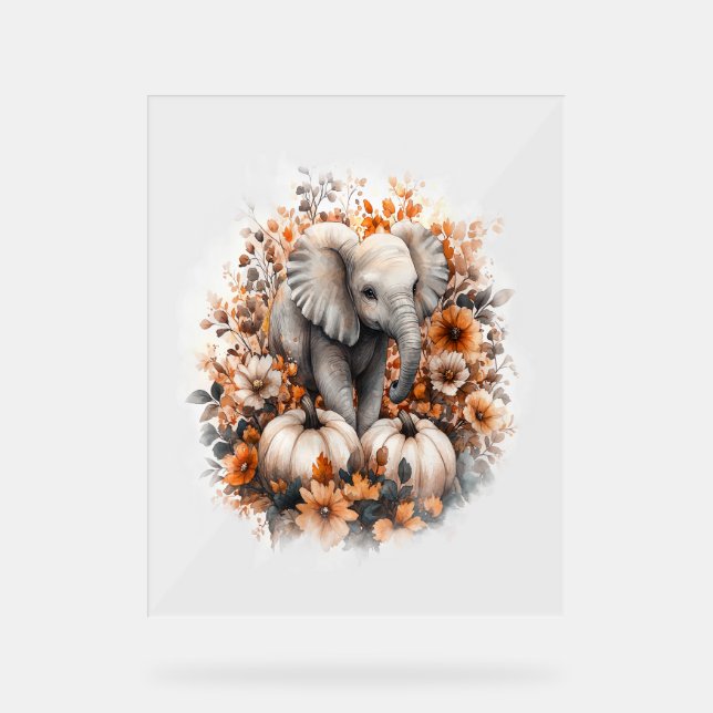 Elephant Shirt Country Pumpkin Acrylschild (Vorderseite)