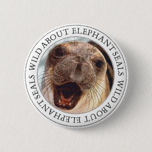 Elephant Siegel Button