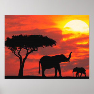 Elephant Silhouette Scene mit Orange Sky Poster