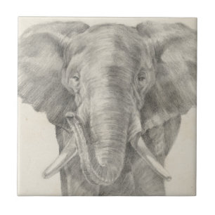 Elephant Sketch Fliese