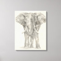 Elephant Sketch