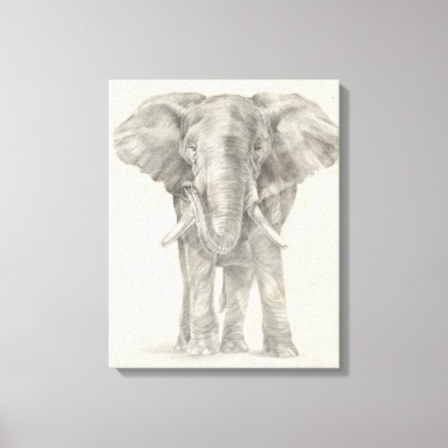 Elephant Sketch Leinwanddruck (Vorderseite)