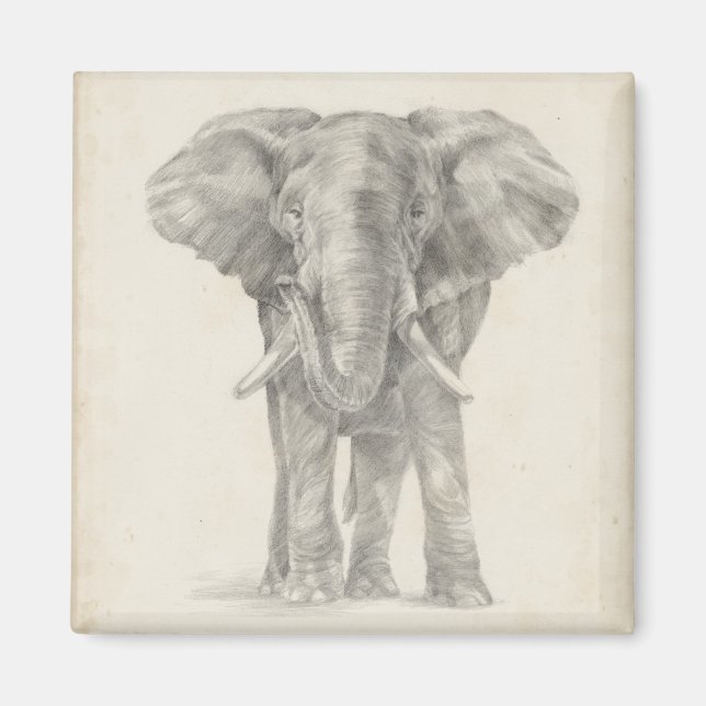 Elephant Sketch Magnet (Vorne)