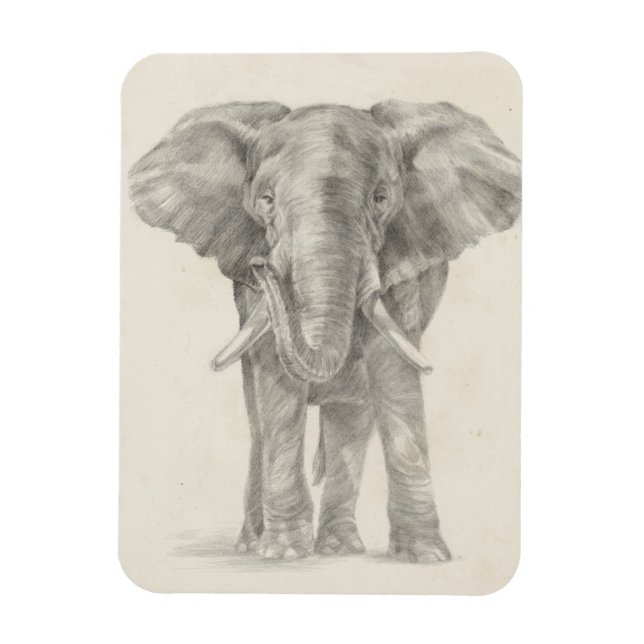 Elephant Sketch Magnet (Vertikal)