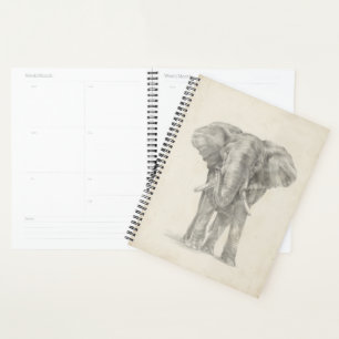 Elephant Sketch Planer