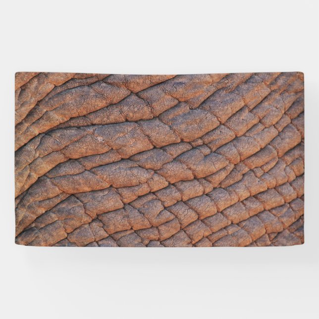 Elephant Skin Banner (Horizontal)