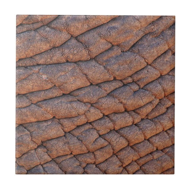 Elephant Skin Fliese (Vorderseite)