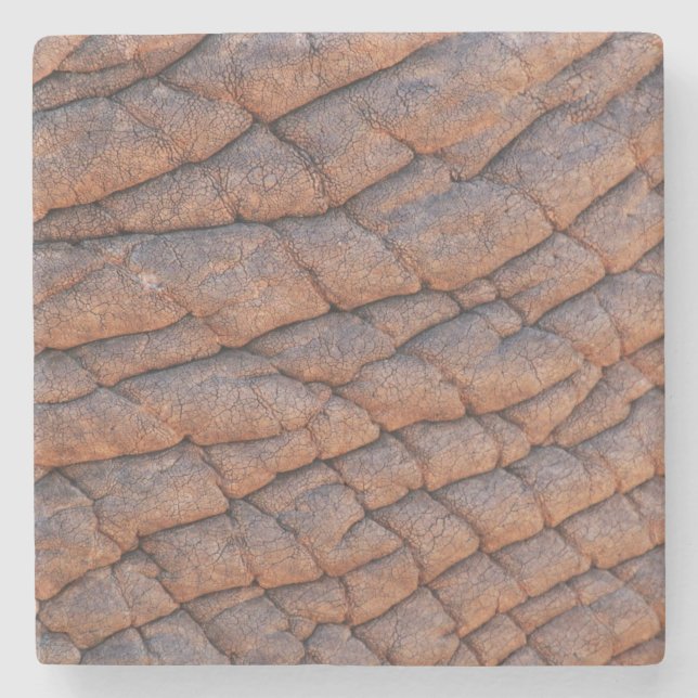 Elephant Skin Steinuntersetzer (Vorderseite)