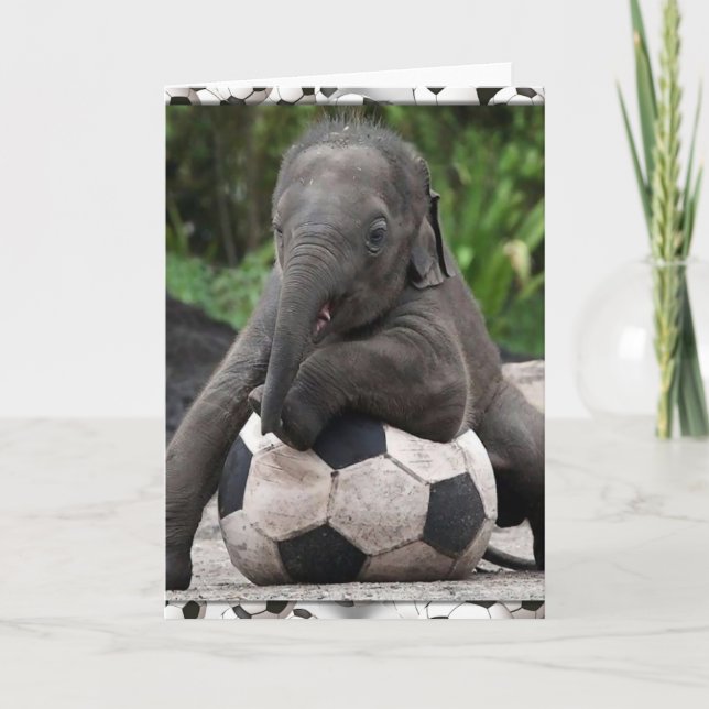 Elephant Soccer Karte (Vorderseite)