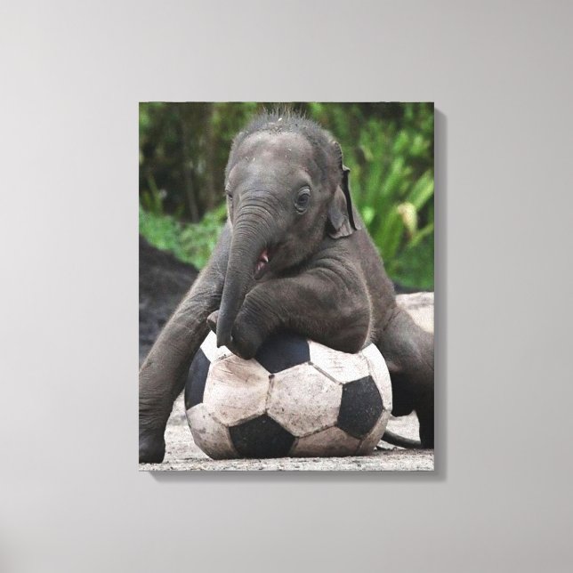 Elephant Soccer Wrapped Canvas Print Leinwanddruck (Vorderseite)