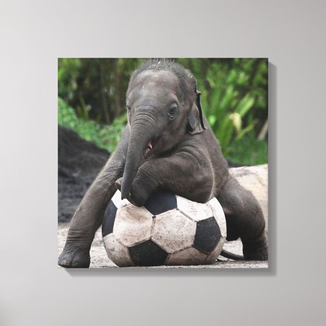 Elephant Soccer Wrapped Canvas Print Leinwanddruck (Vorderseite)
