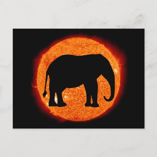 Elephant Solar Eclipse Postkarte (Vorderseite)