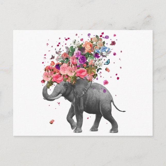Elephant Splash Postkarte (Vorderseite)