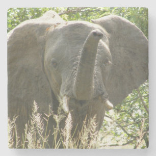 Elephant Stone Untersetzer (Vollfarbe)