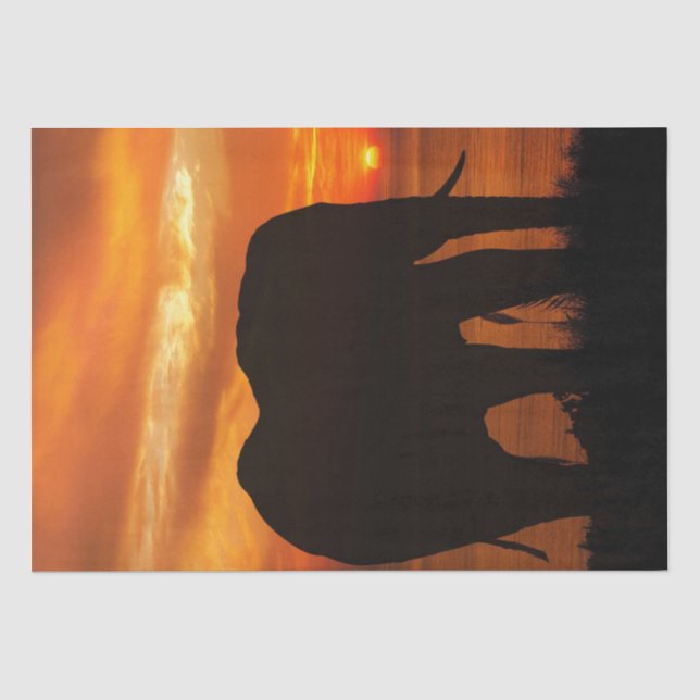 Elephant Sunset Silhouette Seidenpapier (Vorderseite)