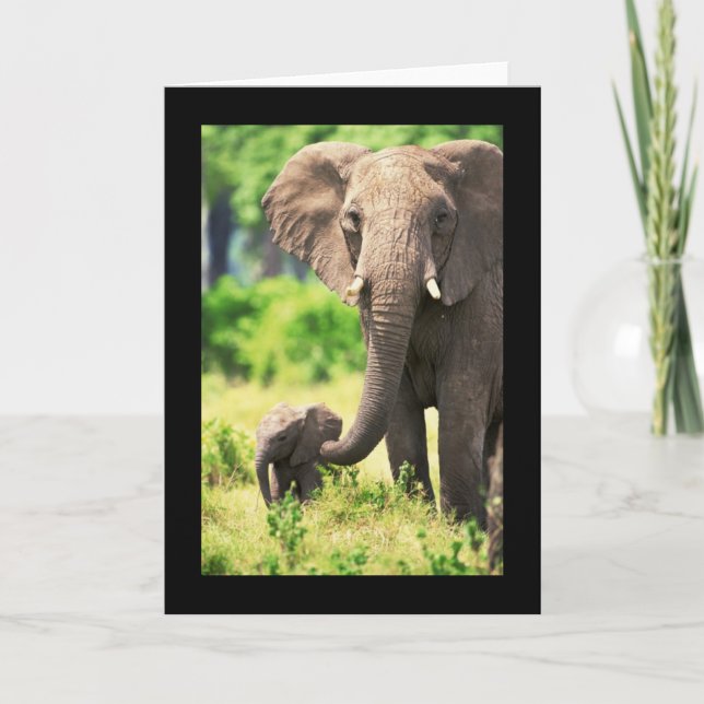 Elephant und Baby Karte (Vorderseite)