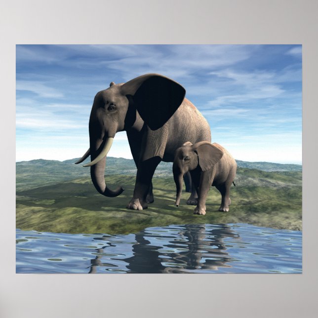 Elephant und Baby Poster (Vorne)