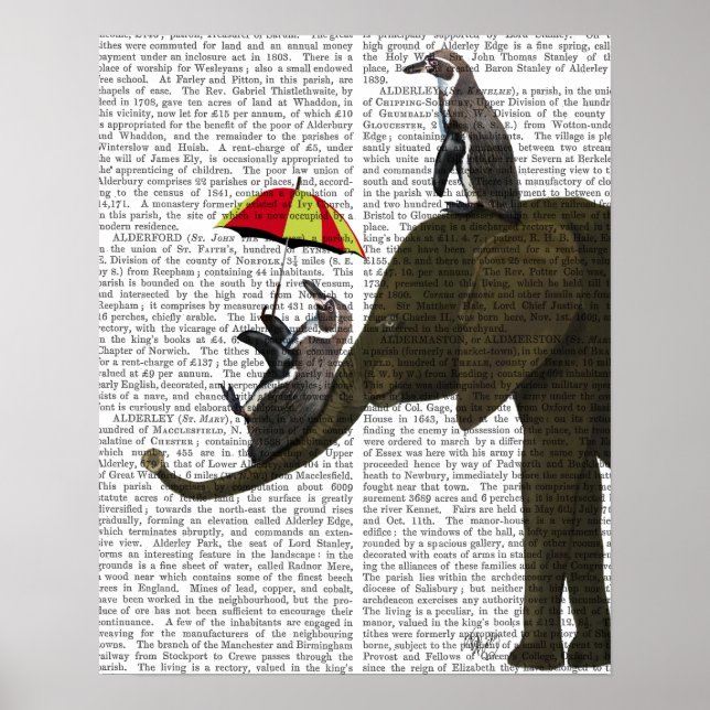 Elephant und Pinguin Poster (Vorne)