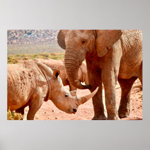 ELEPHANT UND RHINO MÖGEN SICH NICHT POSTER