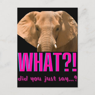 Elephant What Did You Just Say? Postkarte