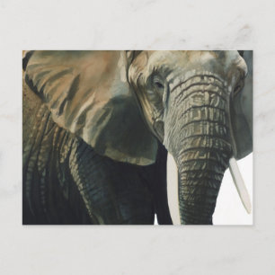 "Elephant Wildlife Animal Water color" Postkarte