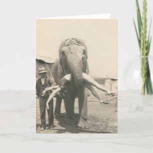 elephant with girl in mouth greeting card karte