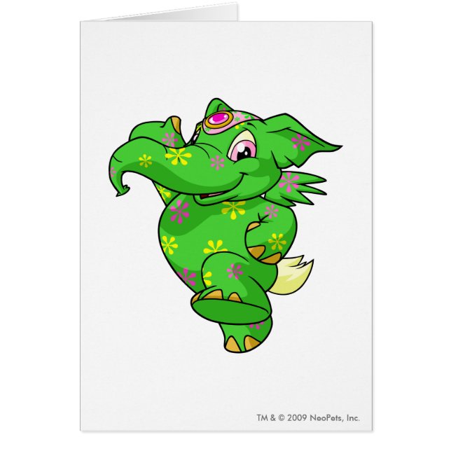 Elephante Disco (Vorne)