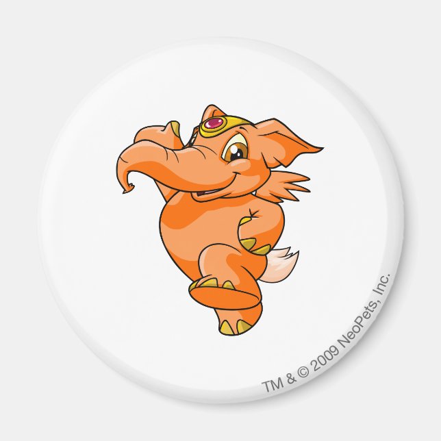 Elephante Orange Magnet (Vorne)