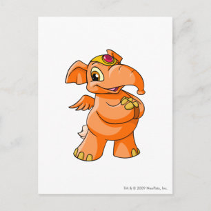 Elephante Orange Postkarte