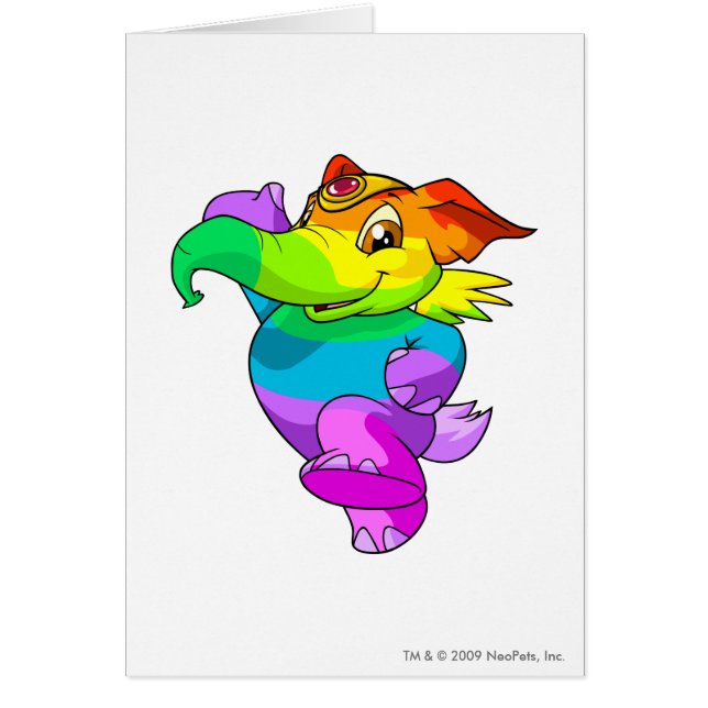 Elephante Regenbogen (Vorne)