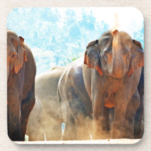 Elephants Animals Safari Destiny Peace Liebe Untersetzer