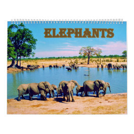 elephants kalender