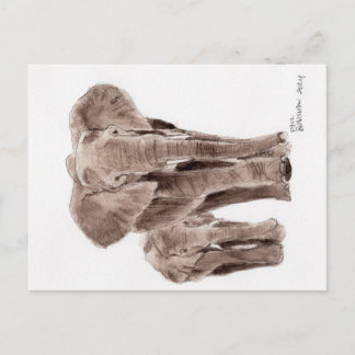 elephants post card postkarte