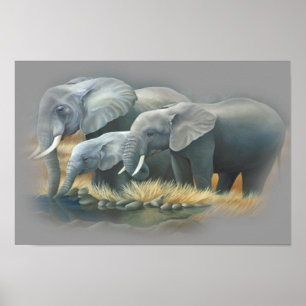 Elephants Poster