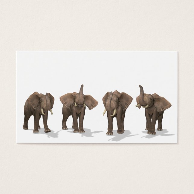Elephants Quartett (Vorderseite)