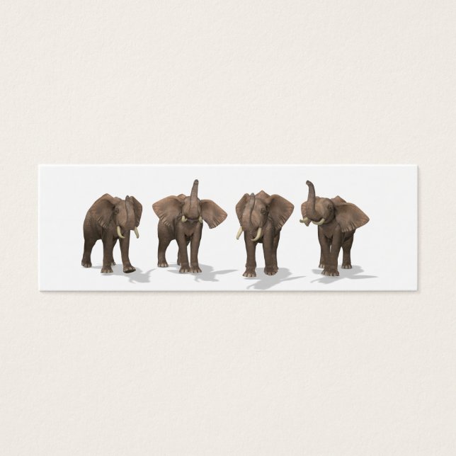 Elephants Quartett (Vorderseite)