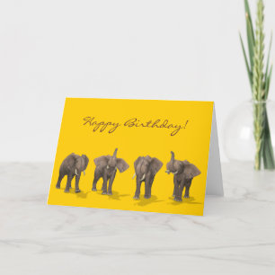 Elephants Quartett Happy Birthday Karte