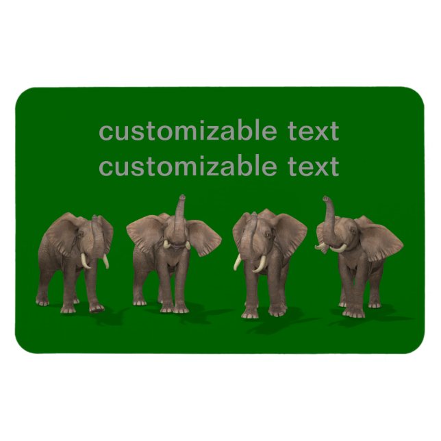 Elephants Quartett Magnet (Horizontal)