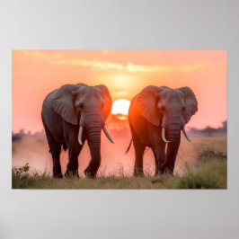 Elephants Walking in Sunset Poster