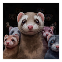 Eleven Stoic Ferrets Poster Wine Art