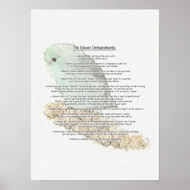 Elf Anforderungen der Parrotlets Poster (Vorne)