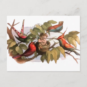 Elf Bird Sprite Pixie Brownie Fairy Tale Postkarte