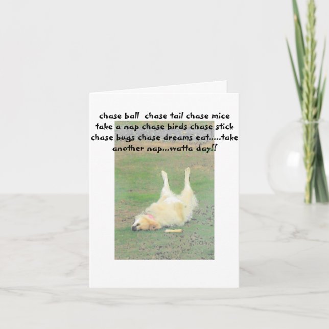 Elf der Clown Feiertagskarte (Vorderseite)