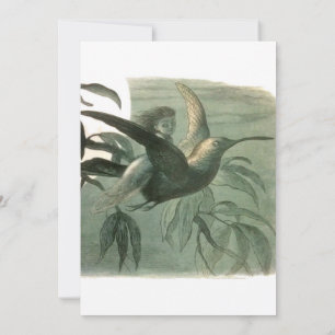 Elf Fairies Elves Moon Night Scene Bird Flying Einladung