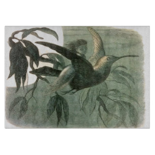 Elf Fairies Elves Moon Night Scene Bird Flying Schneidebrett
