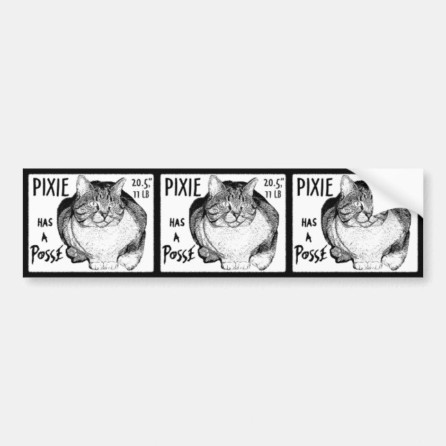 Elf hat ein Gruppen-Aufkleber-Set Autoaufkleber (Vorne)