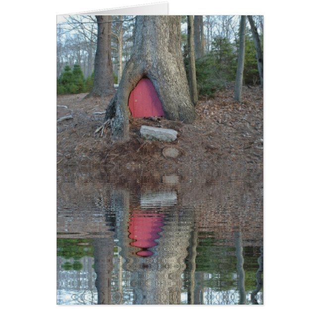 Elf House (Vorne)