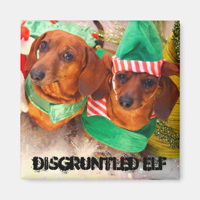 Elf Hund Magnet (Vorne)